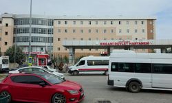 Diyarbakır’da damat katliamı: Kayınbabası ve kayınbiraderini öldürdü