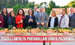 Tescilli Antalya portakalları dünya pazarında