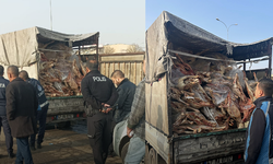 Kamyonet kasasında kilolarca bozuk et ele geçirildi
