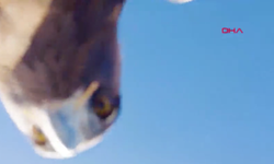 Kartalın kaptığı dron 6 saatlik tırmanışla geri alındı