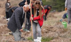 TUSAŞ şehitleri anısına binlerce fidan diktiler