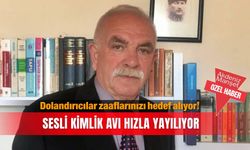 Dolandırıcılar zaaflarınızı hedef alıyor! Sesli kimlik avı hızla yayılıyor