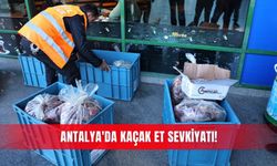 Antalya'da kaçak et sevkiyatı!