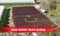 Vatan sevgisini tarlaya işlediler