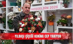 Yılbaşı çiçeği kokina cep yakıyor