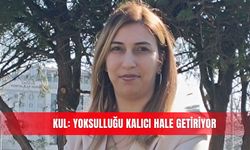 Kul: Yoksulluğu kalıcı hale getiriyor