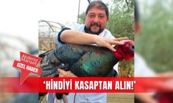 ‘Hindiyi kasaptan alın!’