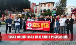 ‘İnsan onuru insan haklarının pusulasıdır’