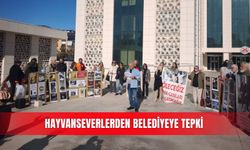 Hayvanseverlerden belediyeye tepki