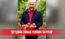 ‘Çiftçinin cirosu yerinde sayıyor’
