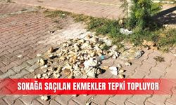 Sokağa saçılan ekmekler tepki topluyor