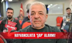 Hayvancılıkta ‘şap’ alarmı!