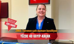 ZMO: Tarımın şah damarı kesiliyor...YÜZDE 40  kayıp-kaçak