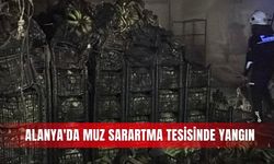Alanya'da muz sarartma tesisinde yangın