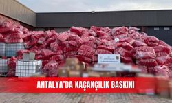 Antalya’da kaçakçılık baskını