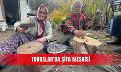 Toroslar’da şifa mesaisi