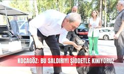 Kocagöz: Bu saldırıyı şiddetle kınıyoruz