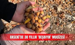 Akseki’de 30 yıllık 'Beşbıyık' mucizesi