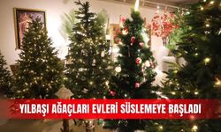 Yılbaşı ağaçları evleri süslemeye başladı