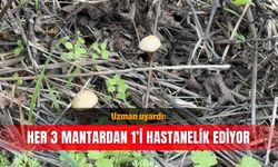 Uzman uyardı: Her 3 mantardan 1’i hastanelik ediyor