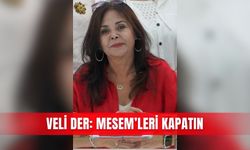 Veli Der: MESEM’leri kapatın