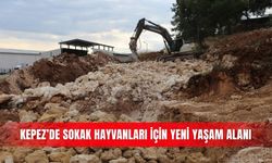 Kepez’de sokak hayvanları için yeni yaşam alanı