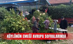 Köylünün emeği Avrupa sofralarında
