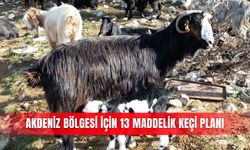Akdeniz Bölgesi için 13 maddelik keçi planı
