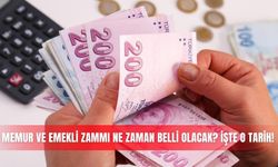 Memur ve emekli zammı ne zaman belli olacak? İşte o tarih!
