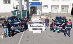 Manavgat jandarmasından kaçakçılık operasyonu