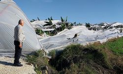 Manavgat'ta hortum 10 milyon liranın üzerinde zarara yol açtı