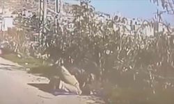 Namaz kılan Filistinliye ATV ile çarpan İsrail askerine 5 gün ev hapsi verildi