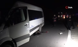 Milyonluk taylar karayolunda telef oldu