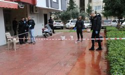 Anne ve oğlunun acı sonu