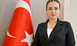 Özdemir'den yeni yıl mesajı