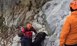 Serik'te dağlık alanda keçi kurtarma operasyonu