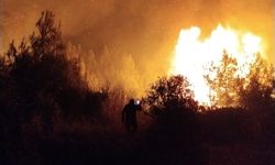 Antalya'nın Serik ilçesinde orman yangını