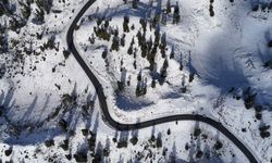 Ormanlık alanda kartpostallık görüntüler oluştu