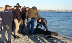 Antalya'da balık tutan vatandaşların oltasına ce*set takıldı