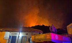 Antalya'da evleri tehdit eden orman yangını kontrol altına alındı