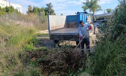 Kemer'de 2025'te 7 bin 111 ton atık toplandı