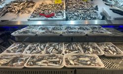 Alanyalı balıkçıdan şehit ve gazilerin ailelerine ücretsiz balık