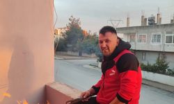 Mersin'de devrilen traktörün altında kaldı: Hayatını kaybetti