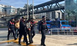 Alanya'da avokado hırsızları yakalandı