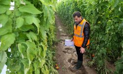 Seralarda hasar tespiti yapıldı