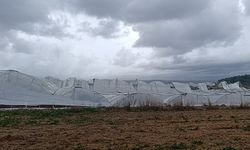 Manavgat'ta hortum 300 dönümlük alanda seraları yerle bir etti