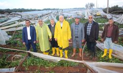 Bayraktar'dan Antalyalı üreticiler için destek talebi