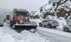 Alacabel beyaza büründü