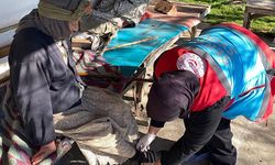 Ulusal Vefa Programı ile 128 bin yaşlı ve engelliye destek