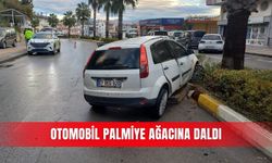 Otomobil palmiye ağacına daldı